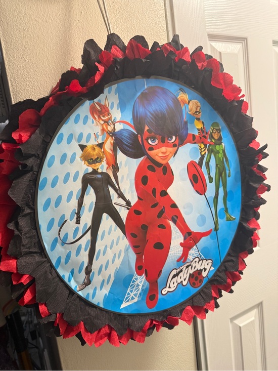 Hand Crafted Other - Hand Crafted Red and Black Ladybug Superhero Character Design Party decor